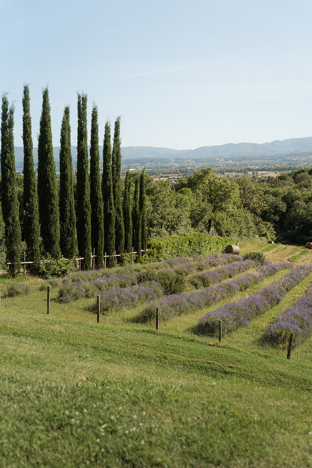 Agriturismo La Conca