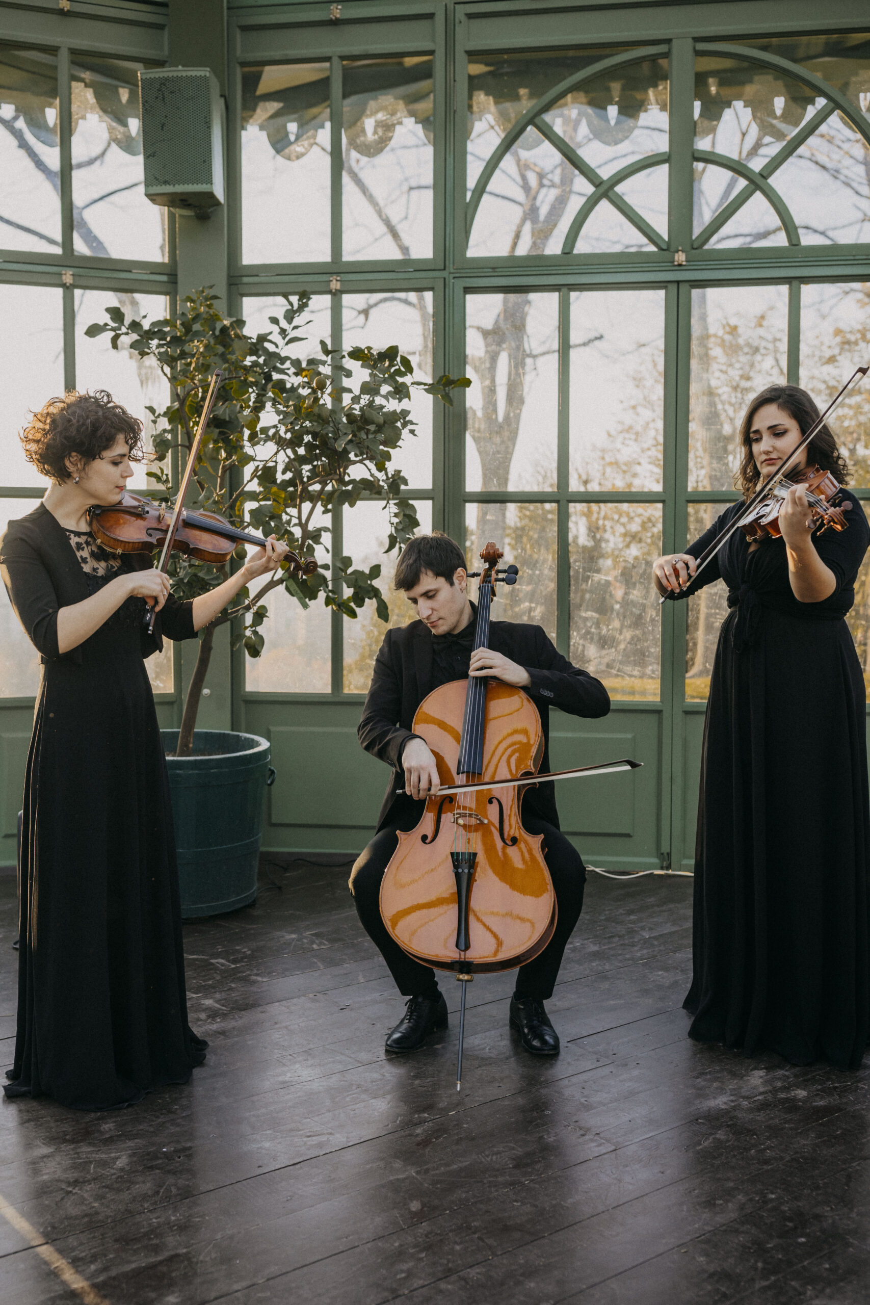 Daniele Pavignano Events Italian Wedding Musicians