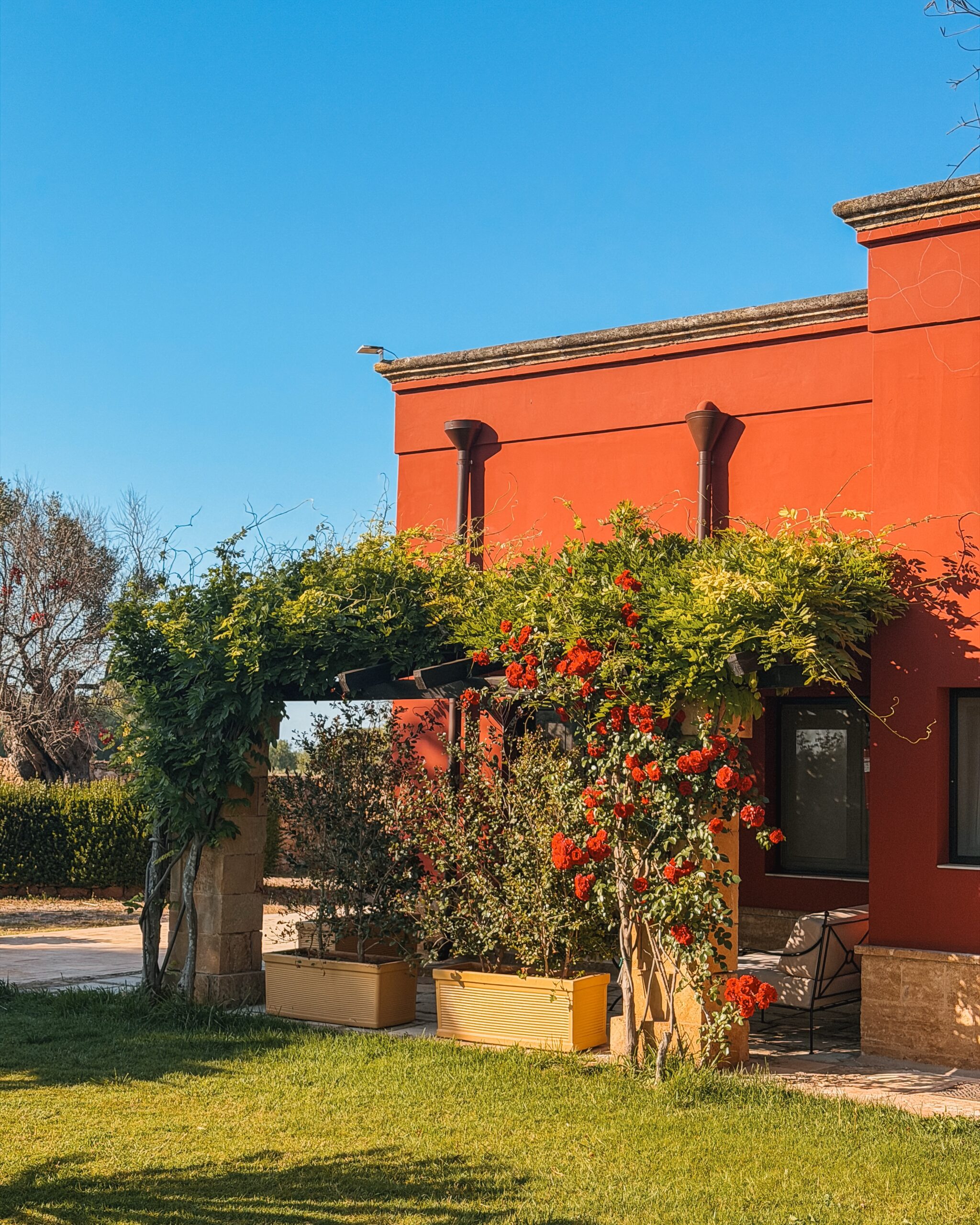 Tenuta Monacelli