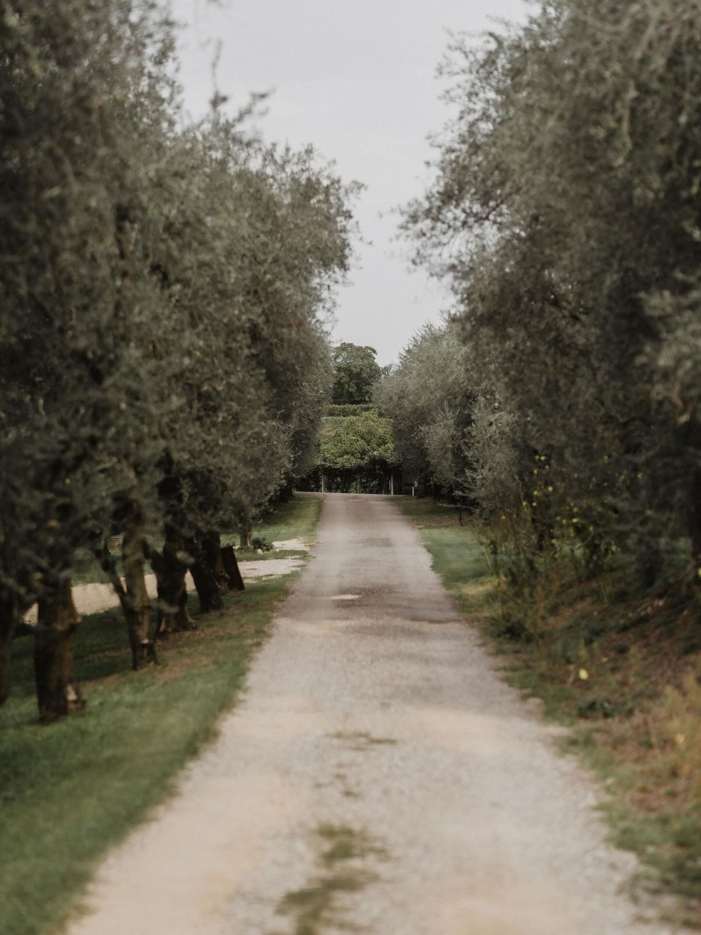Agriturismo Della Pieve