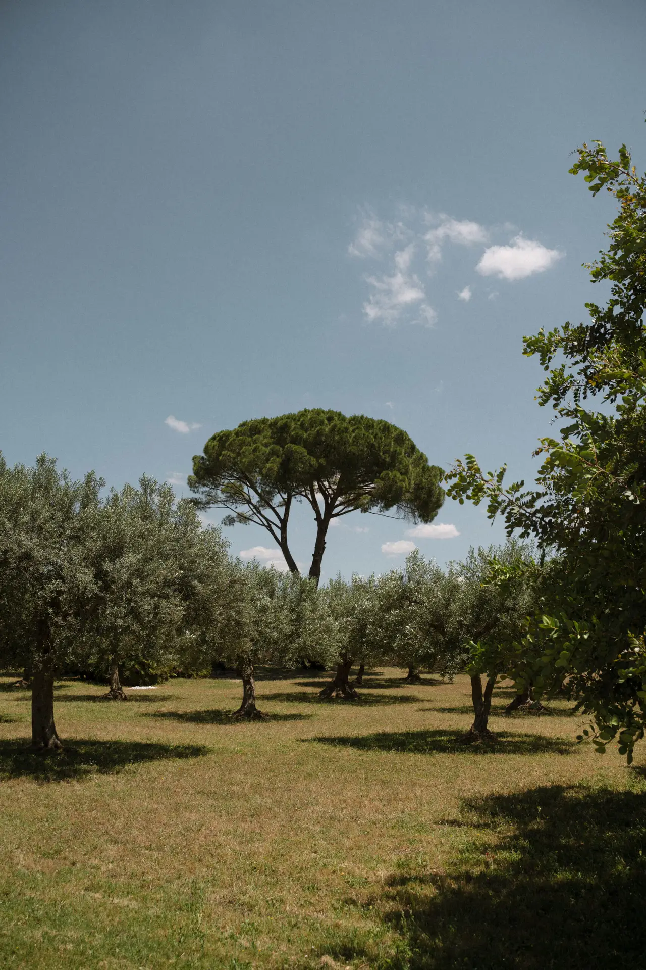 La Chiusa Country House