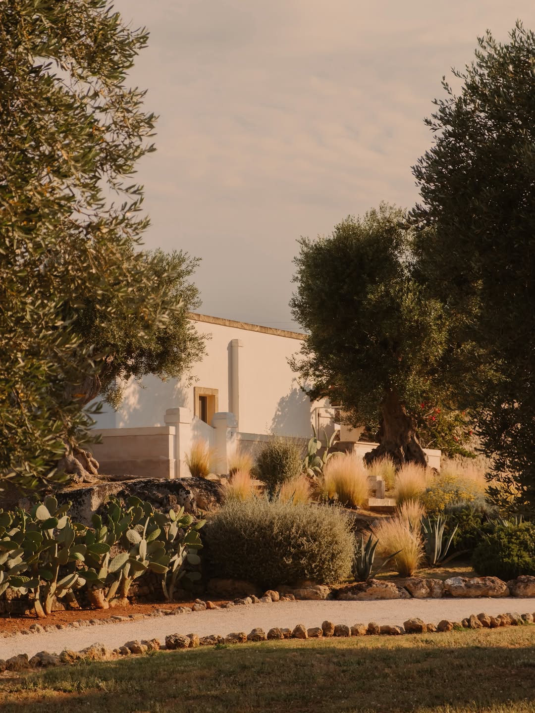 Masseria Calderisi