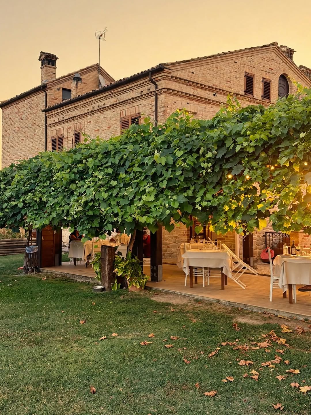 Agriturismo Oasi Biologica