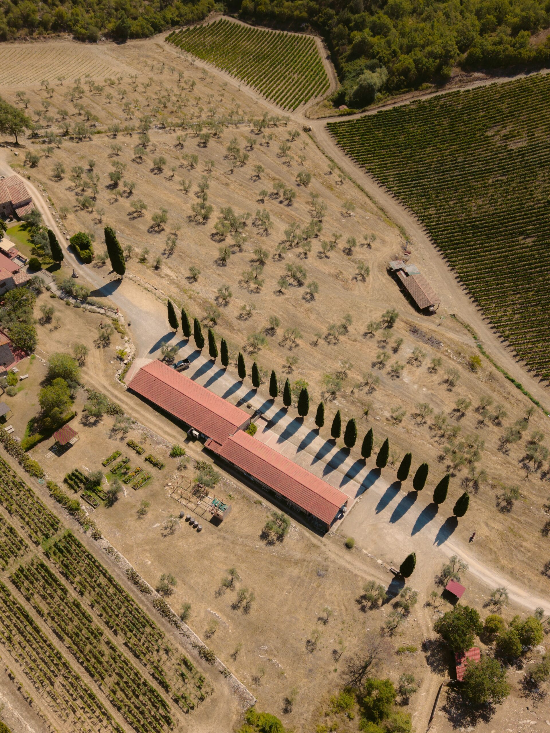 Querceto di Castellina