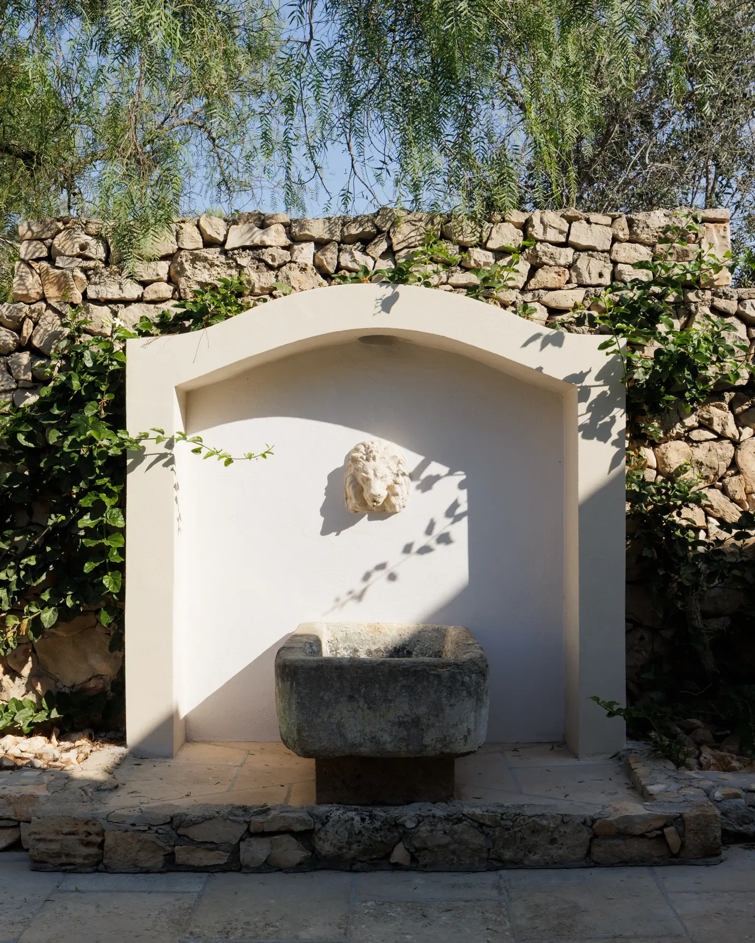 Tenuta Negroamaro