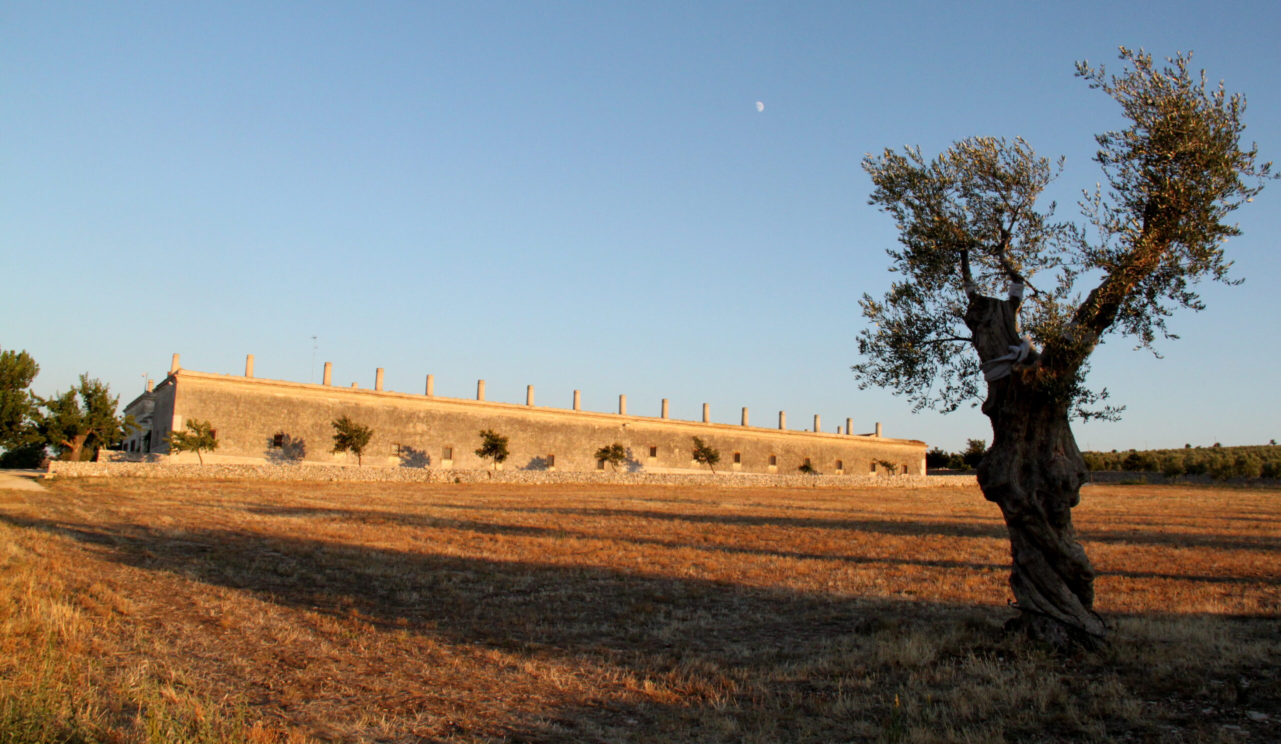 Biomasseria Lama di Luna