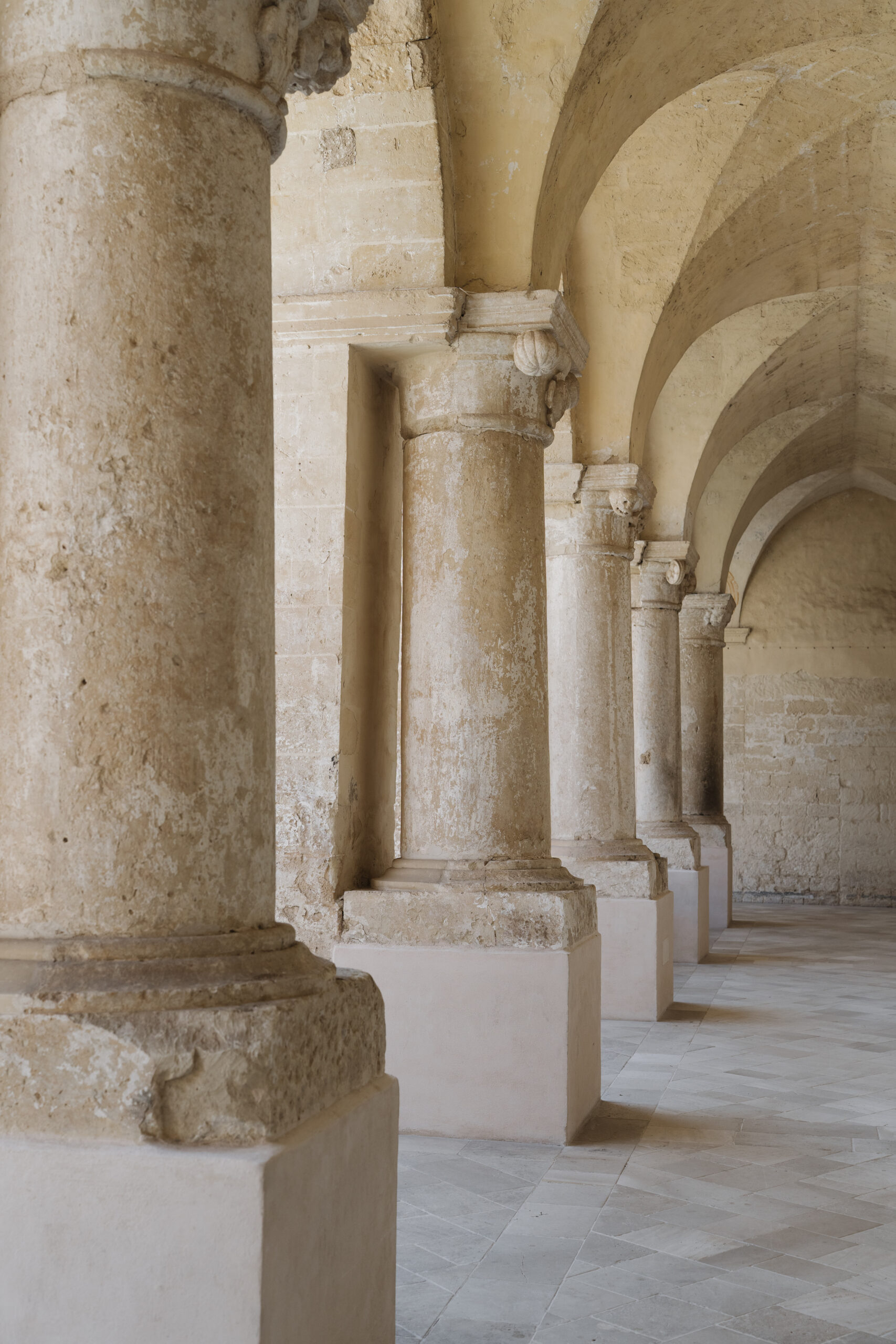 Chiostro Dei Domenicani