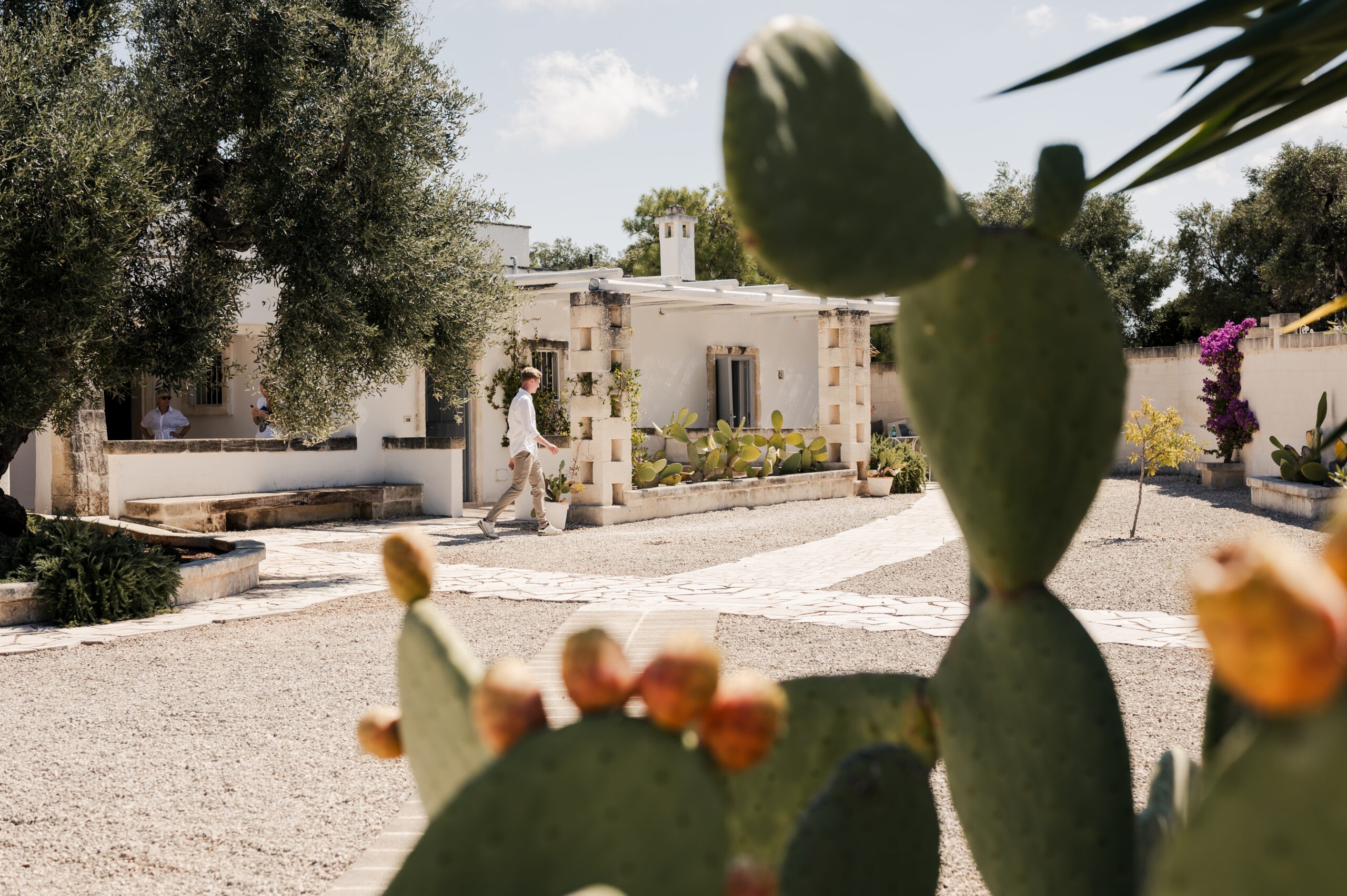 Masseria la Macina
