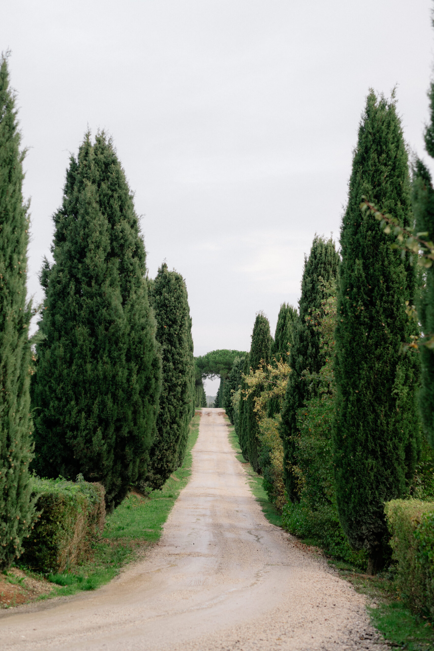 Terre di Nano