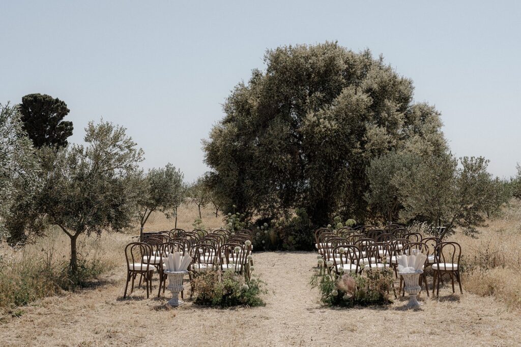 Wedding carmony in the olive grove at Villa carcara in Sicily