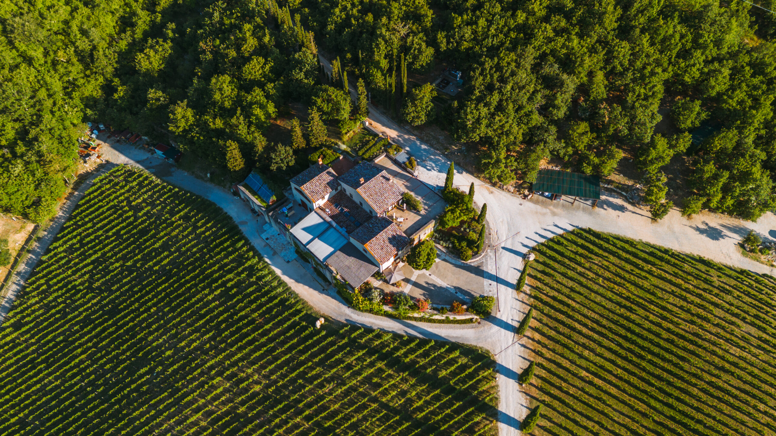 Brancaia Siena Tuscany wedding venue
