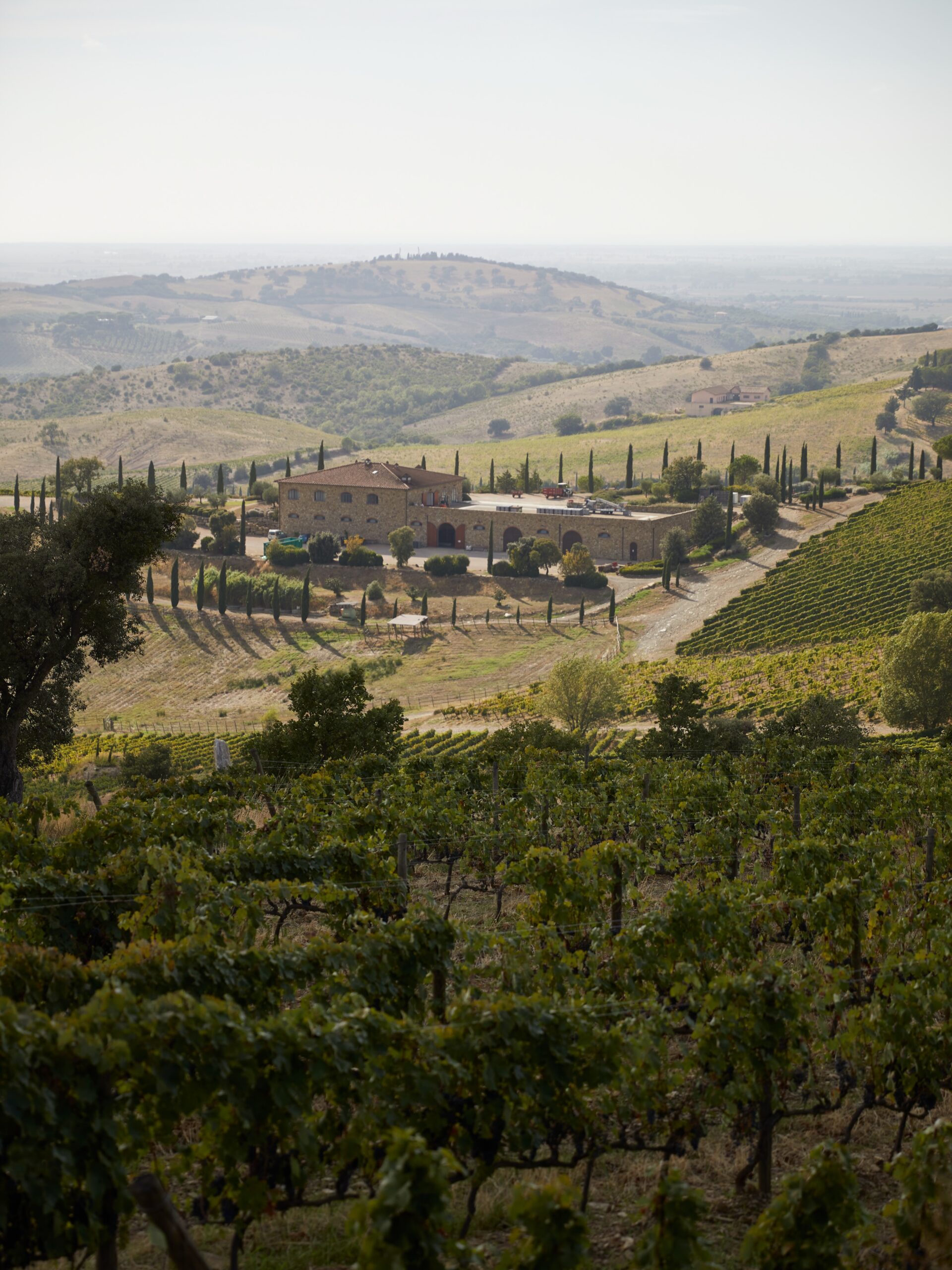 Brancaia