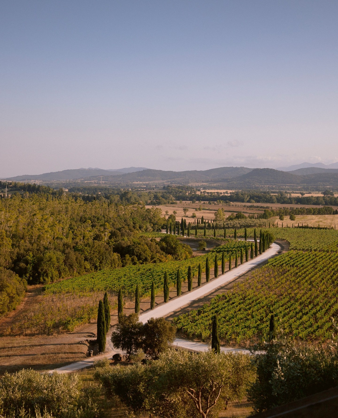 Conti di San Bonifacio Wine Resort