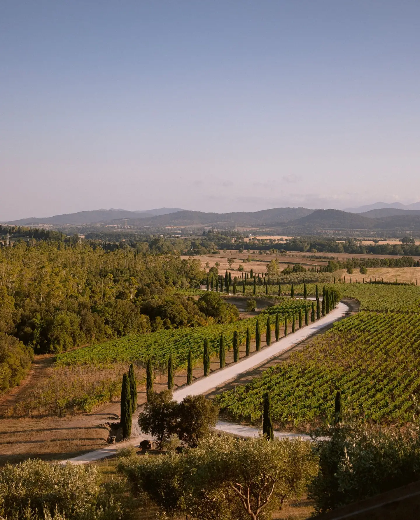 Conti di San Bonifacio Wine Resort