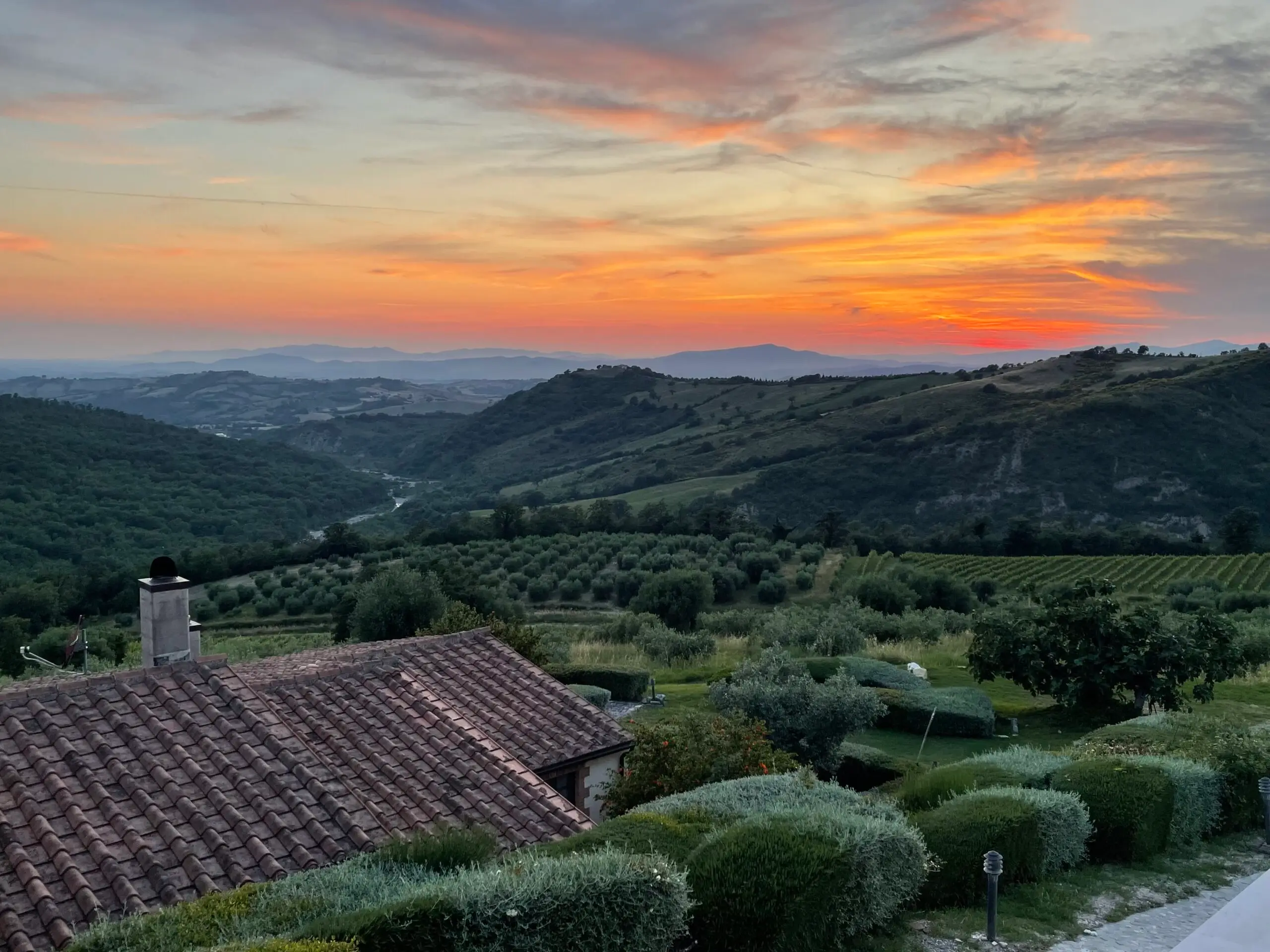 Fattoria la Pieve