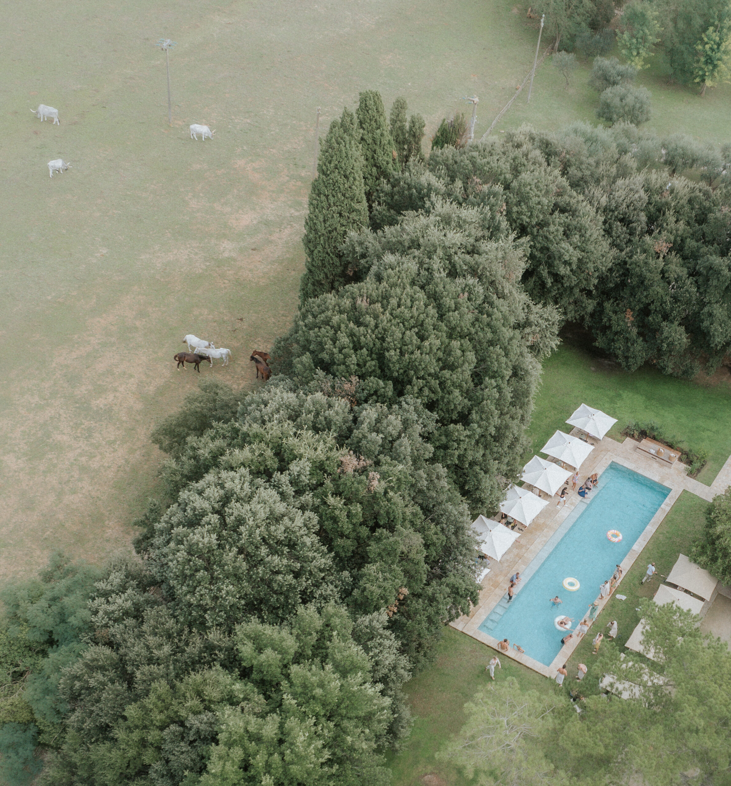 La Pescaia Resort