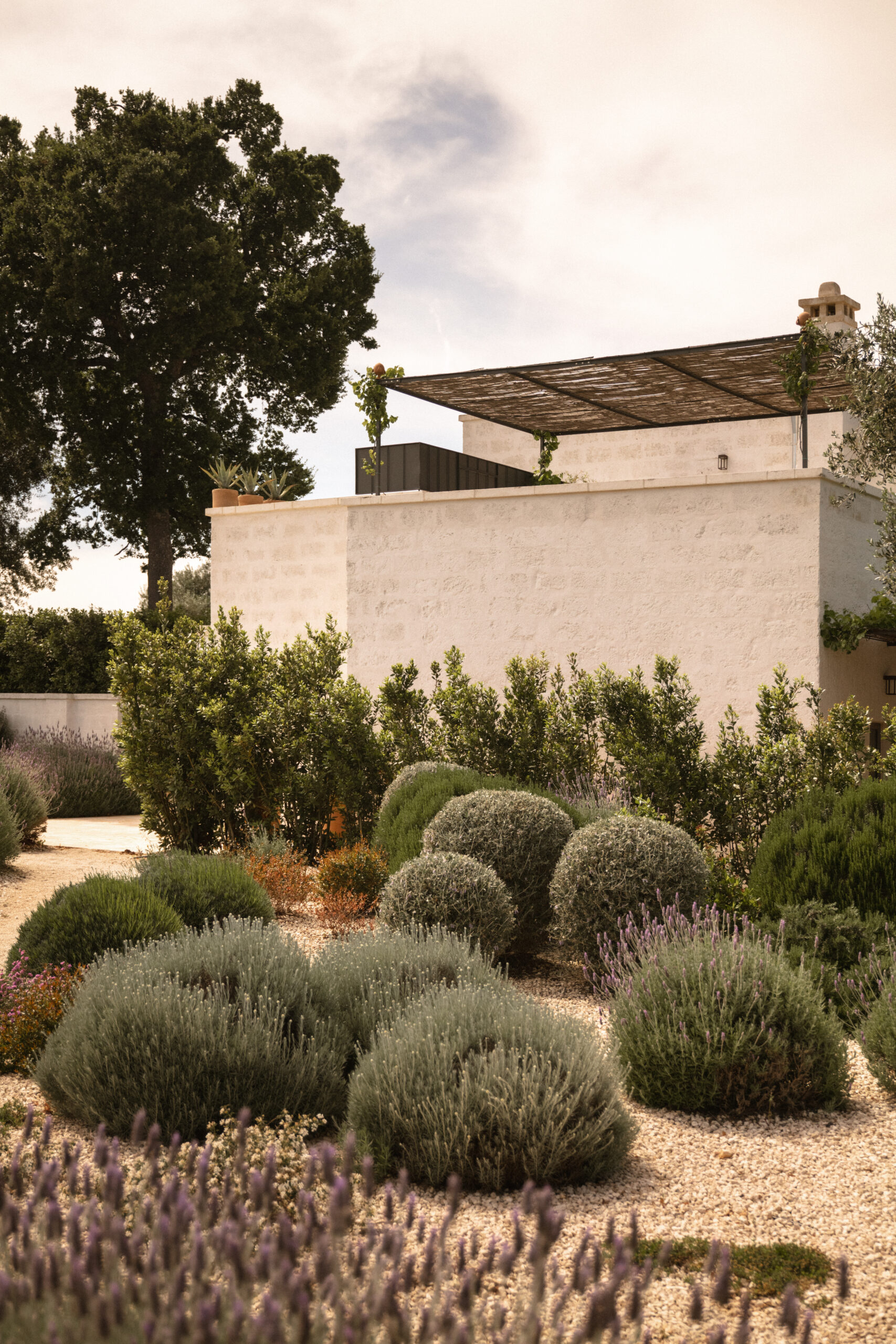 Masseria Auraterrae