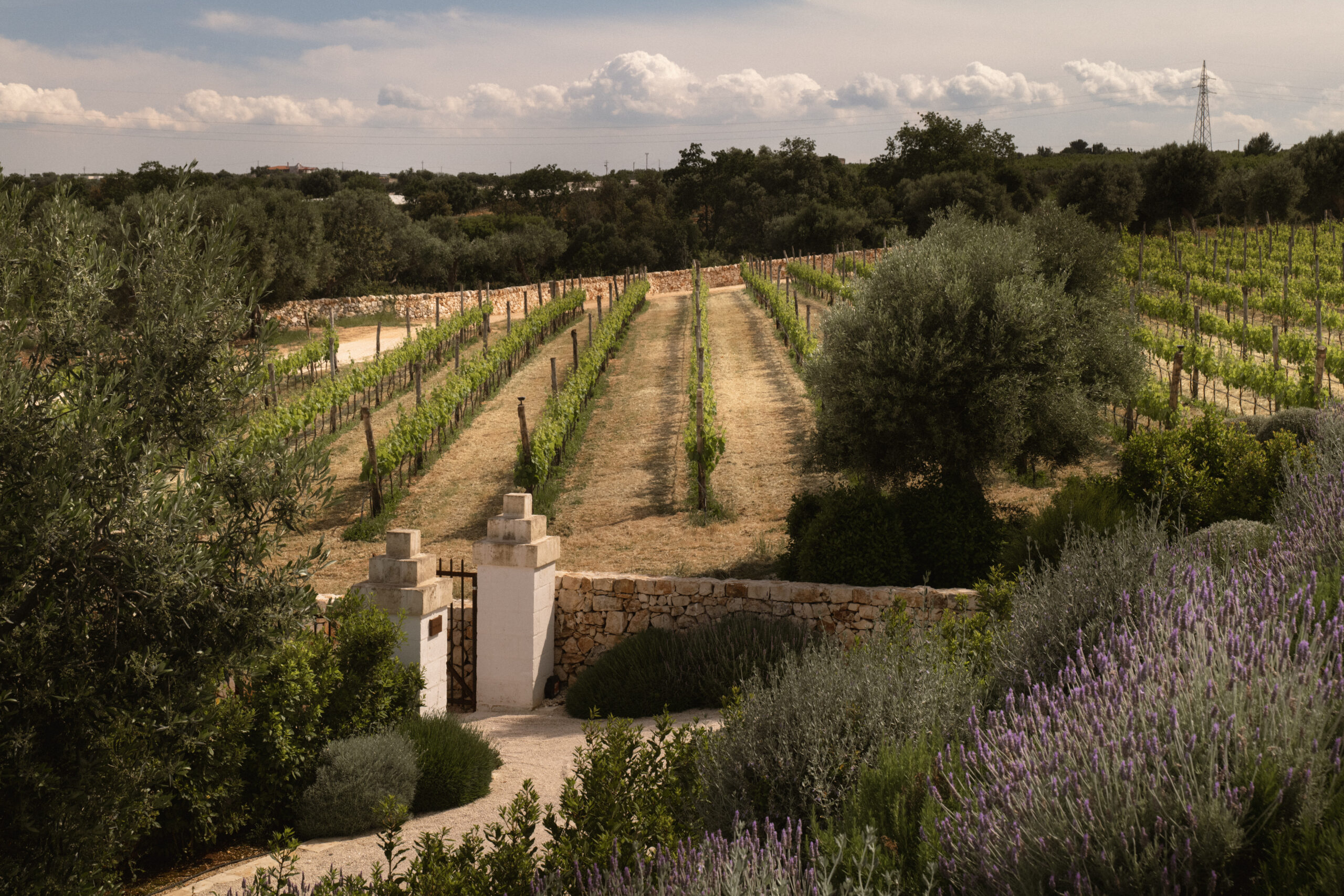 Masseria Auraterrae