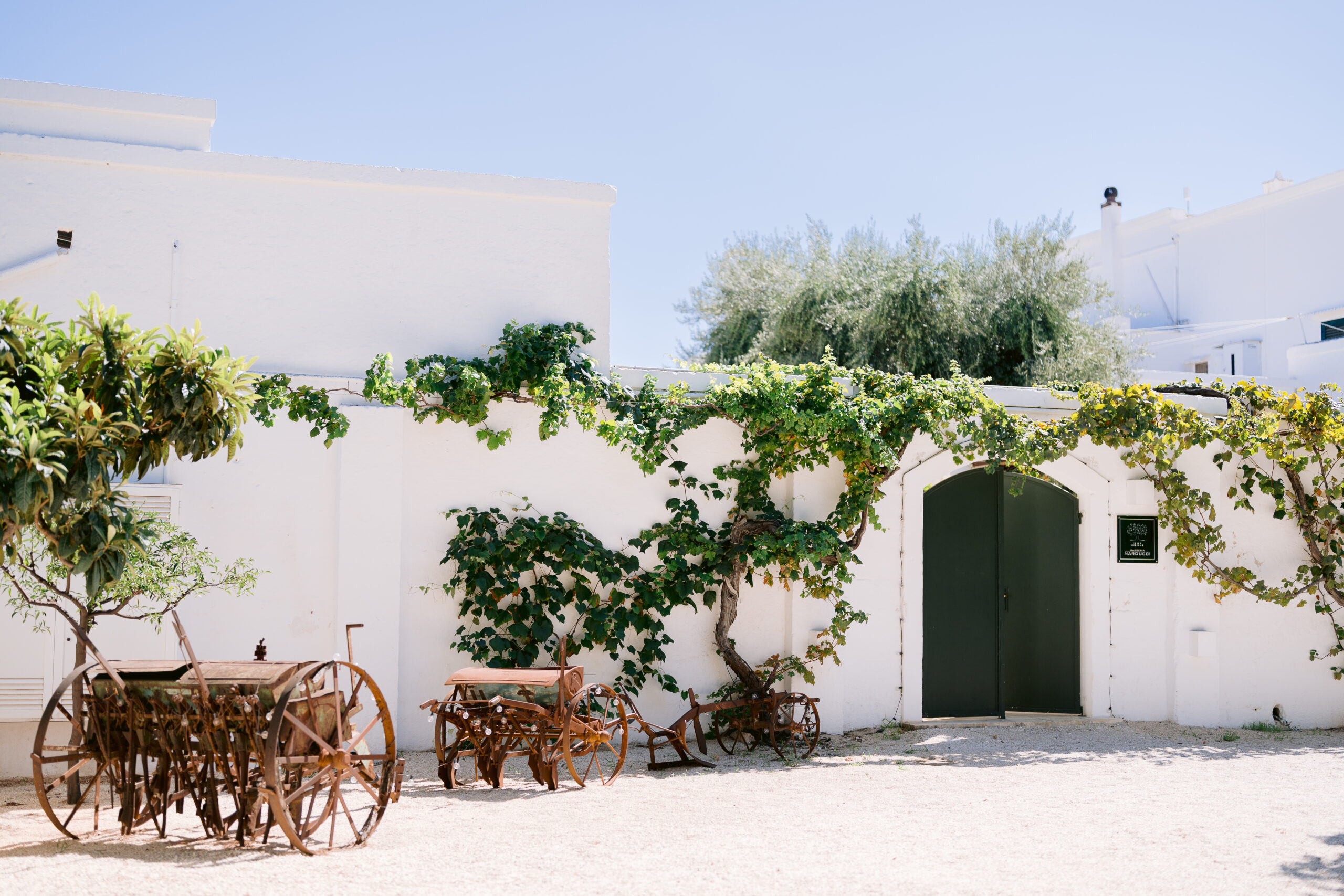 Masseria Narducci
