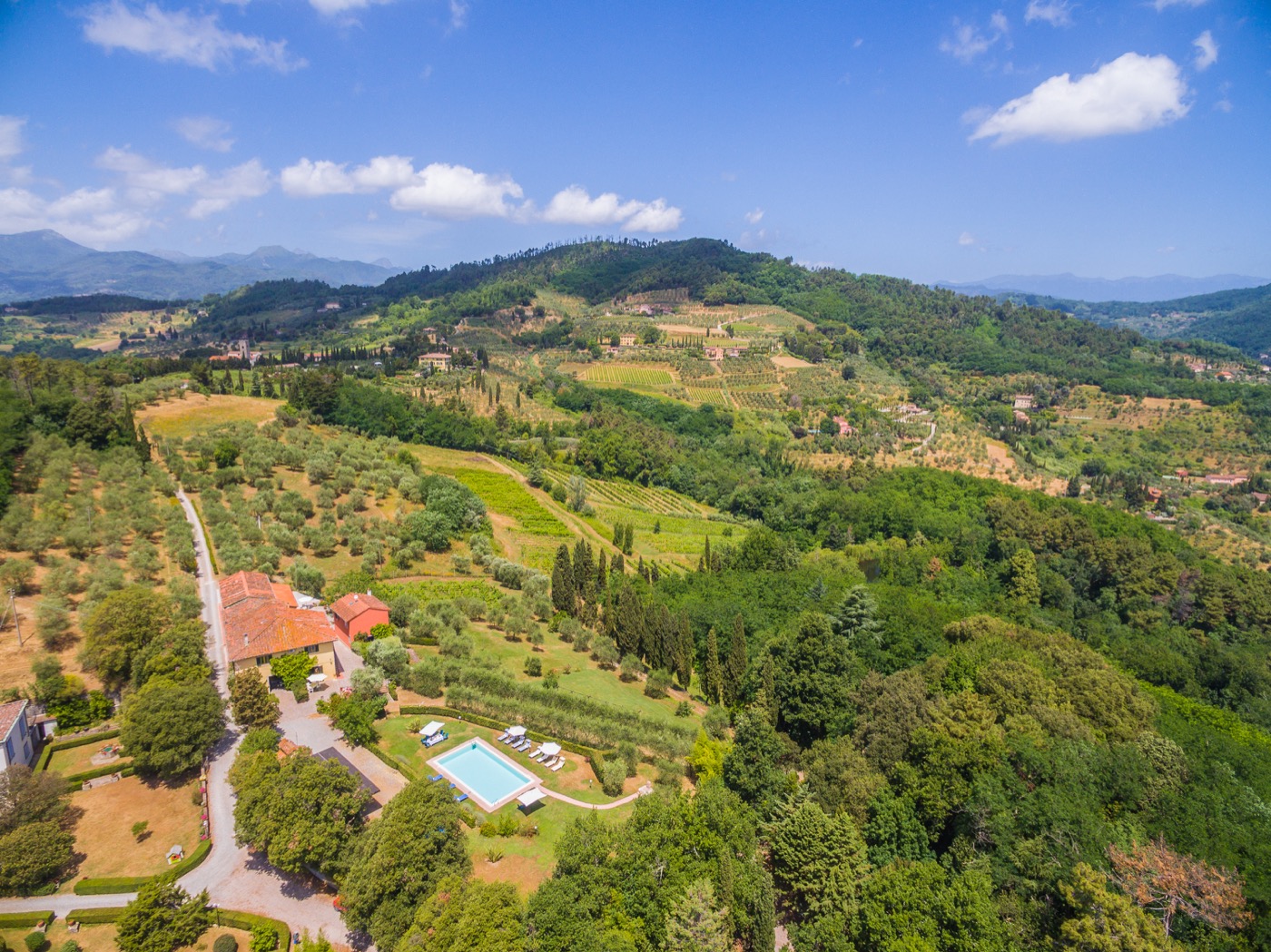 Tenuta Bellosguardo