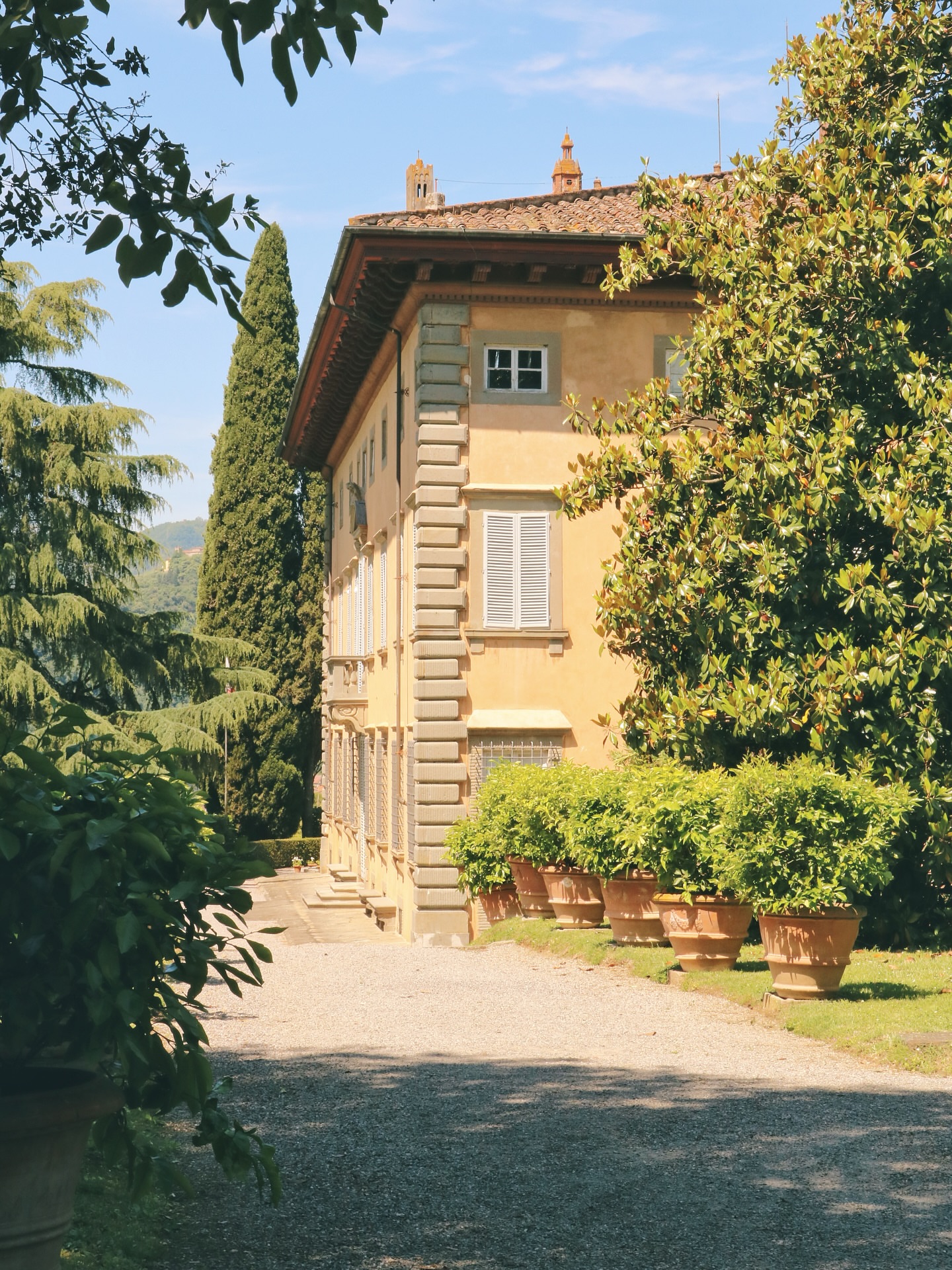 Villa Oliva Buonvisi