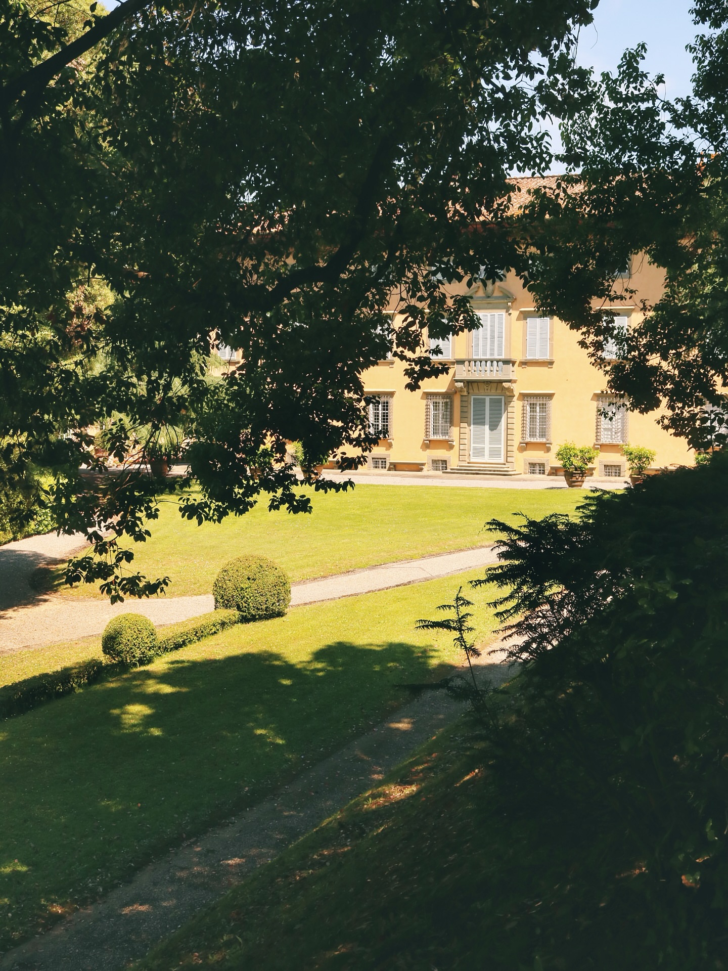 Villa Oliva Buonvisi