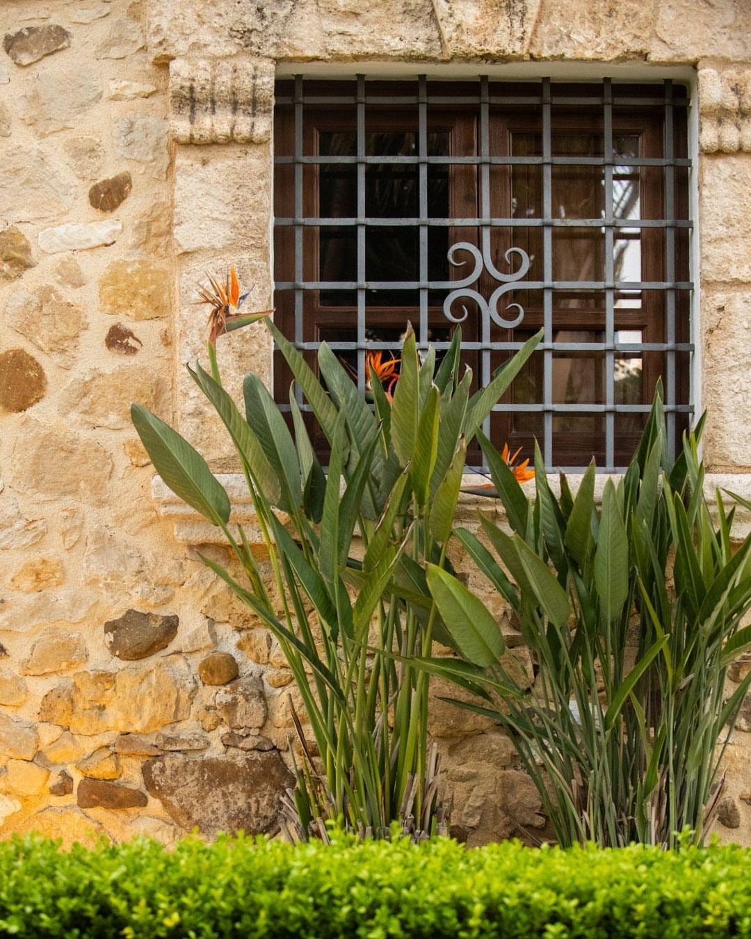 Casale degli Aranci