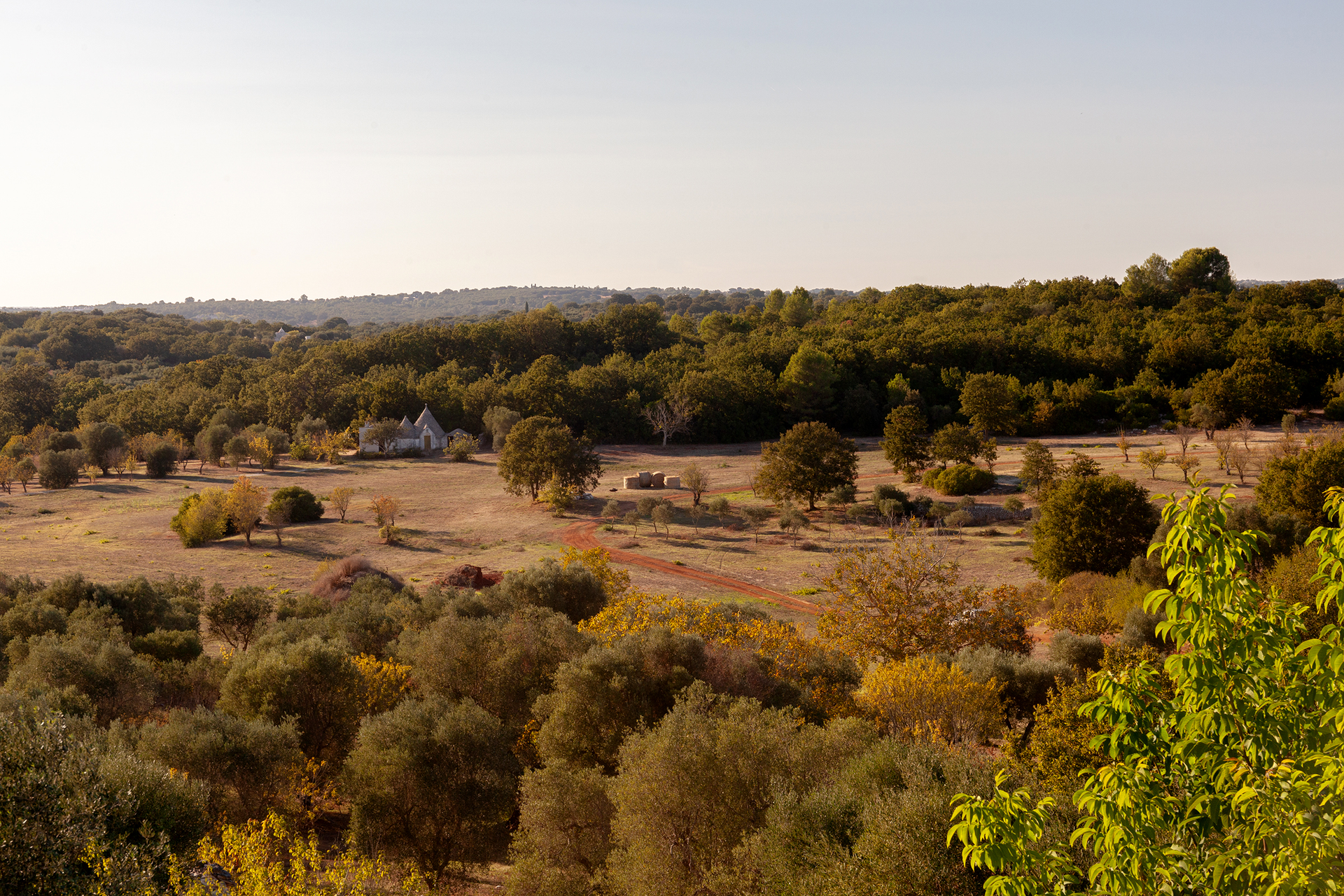 Monte Papa Estate