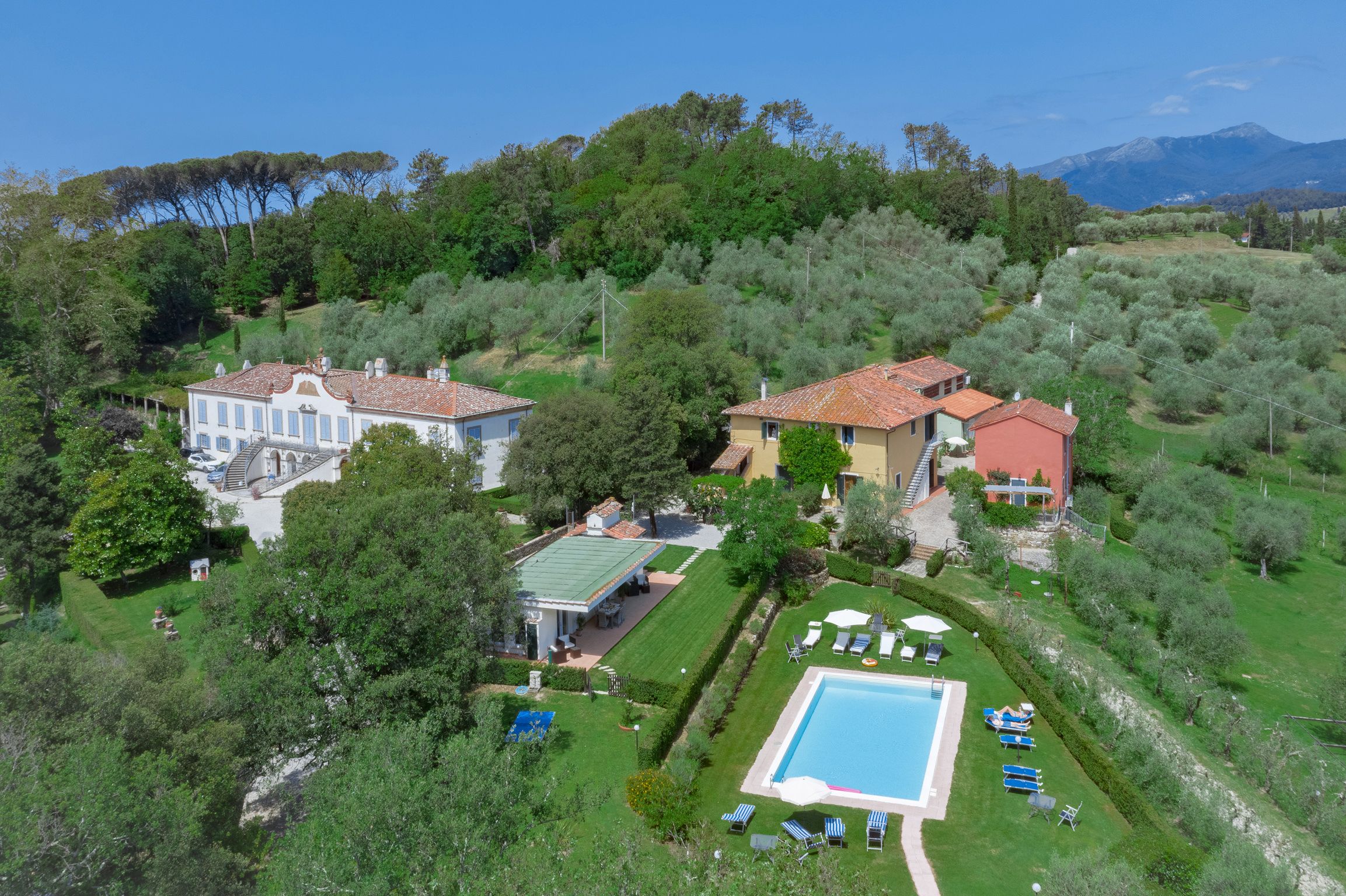 Tenuta Bellosguardo