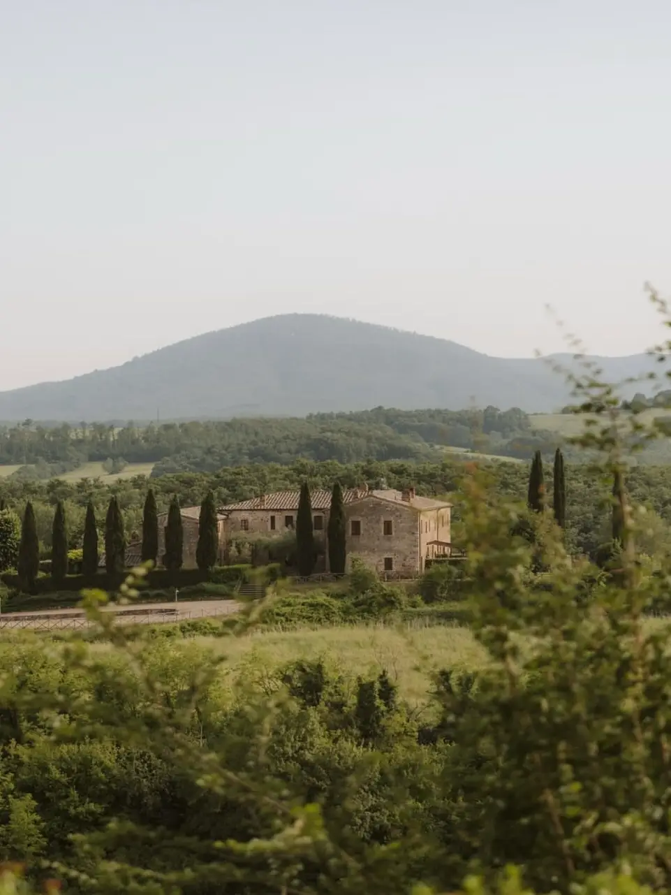 Tenuta di Papena