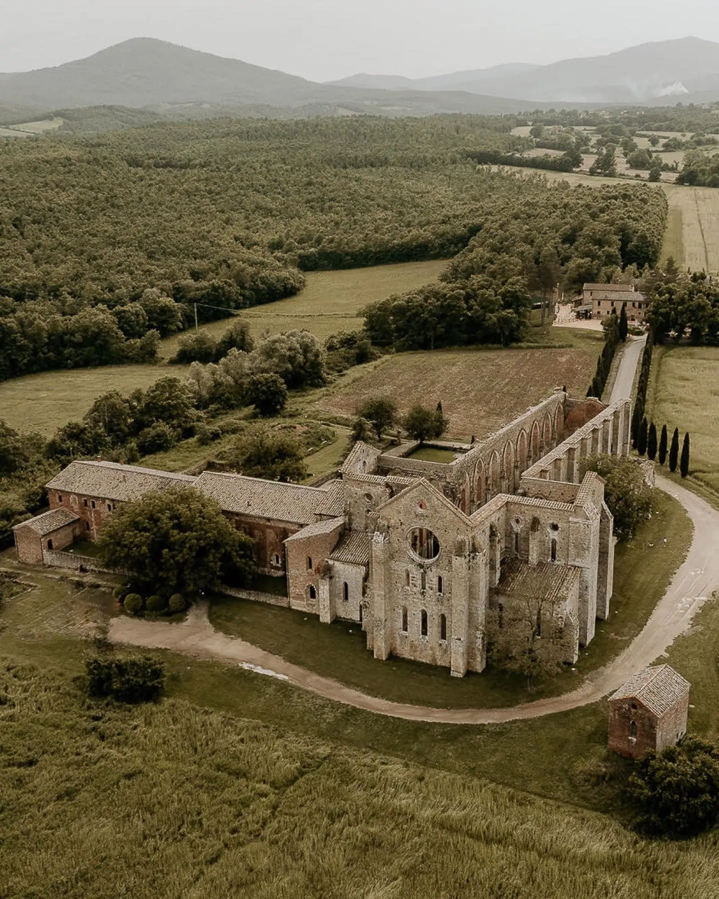 Tenuta di Papena