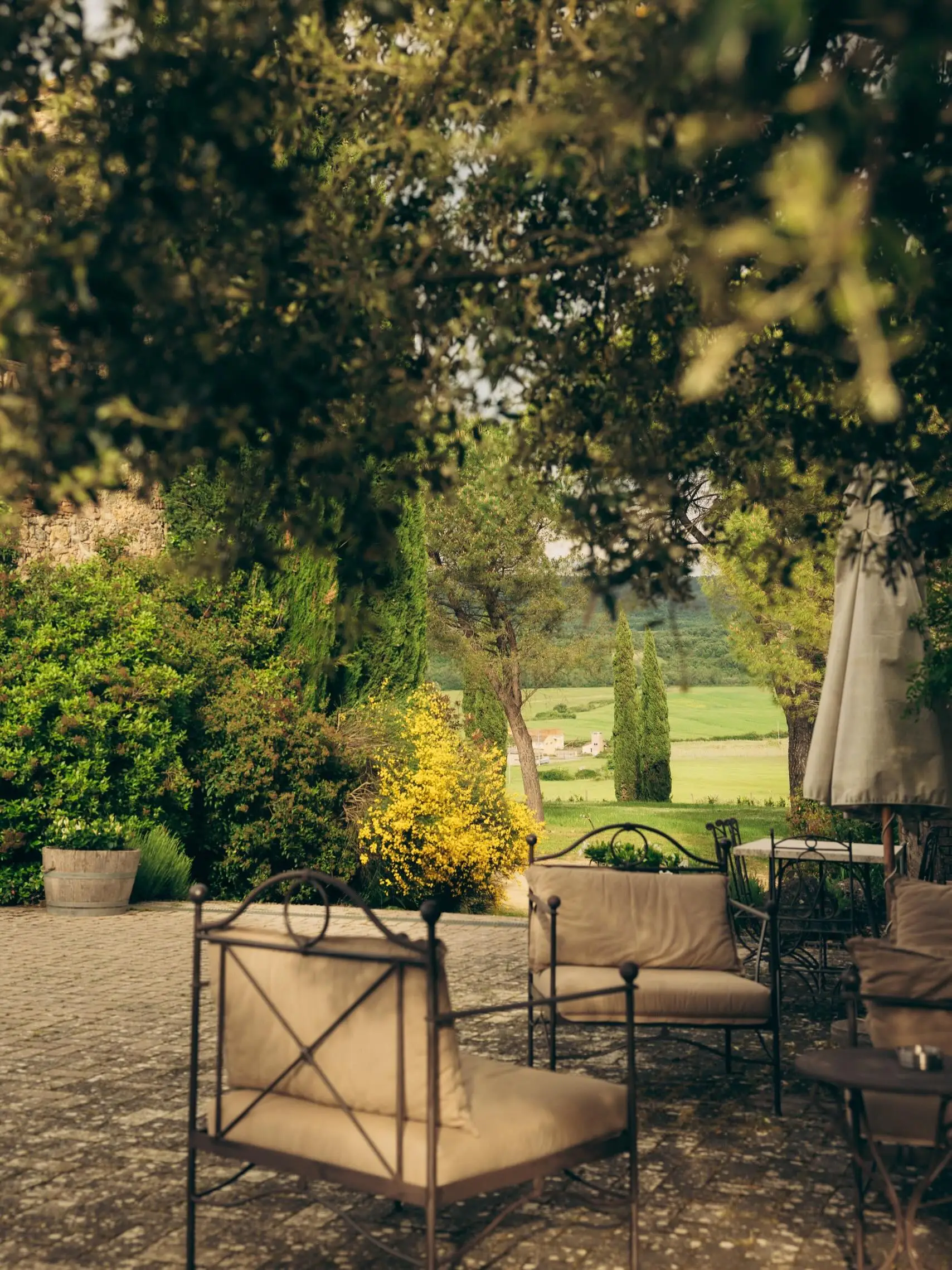 Tenuta di Papena