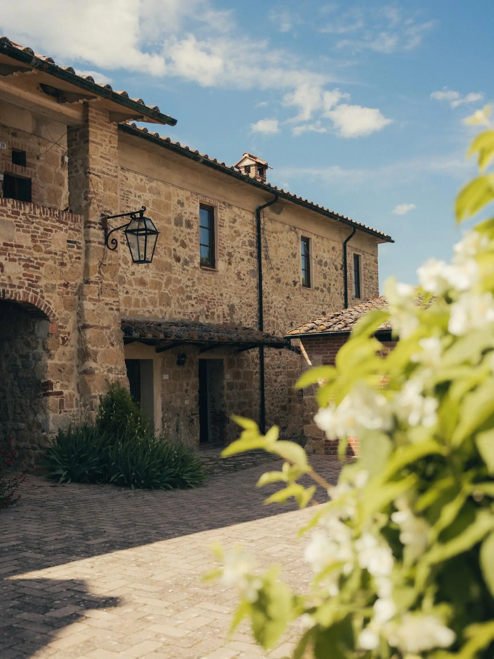 Tenuta di Papena