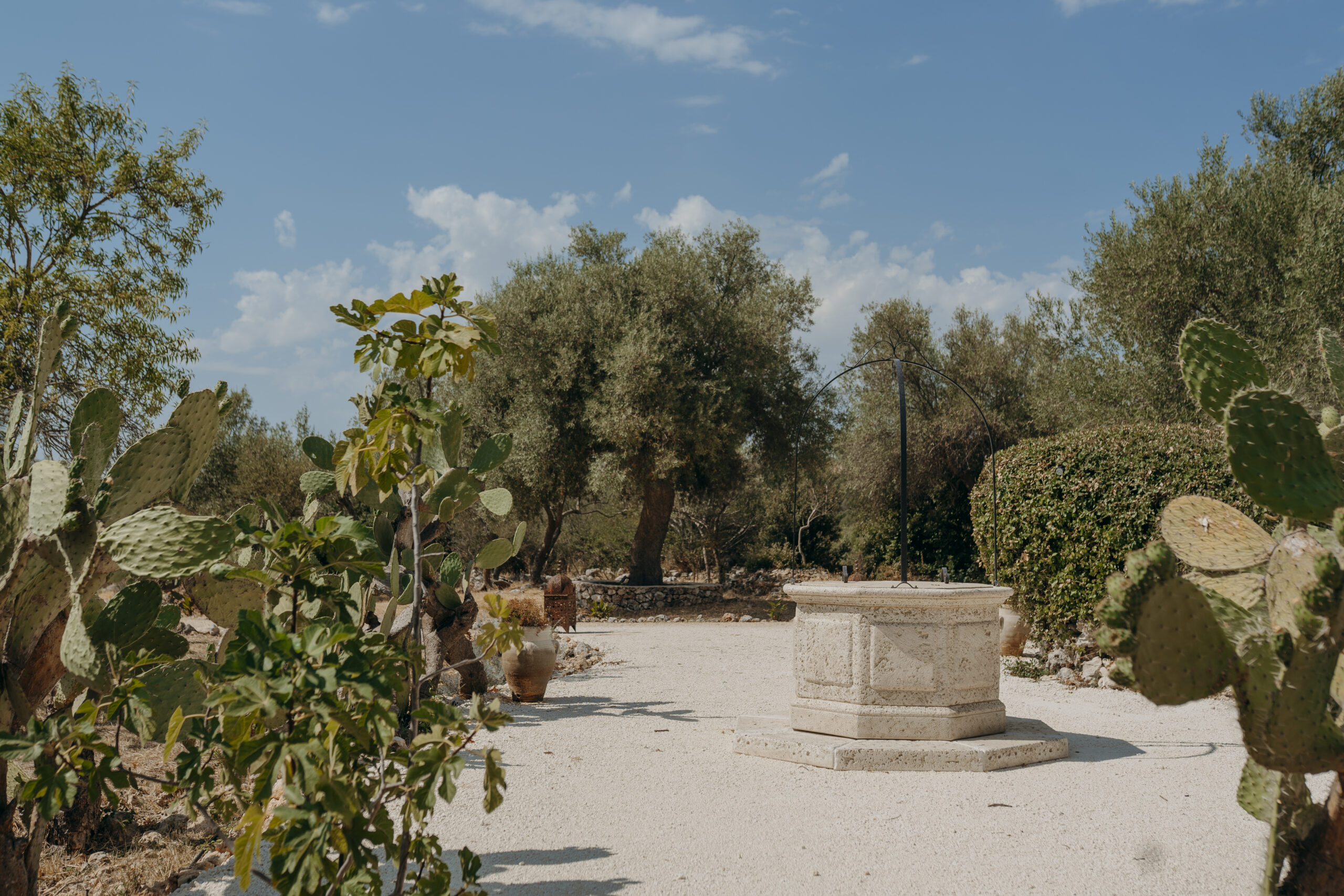 Terre d’Anemá